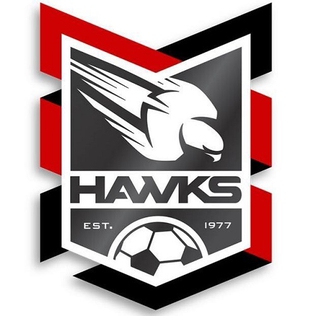 Holland Park Hawks FC