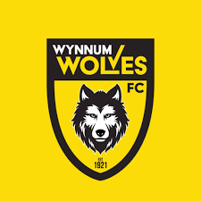 Wynnum Wolves FC