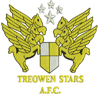 Treowen Stars FC