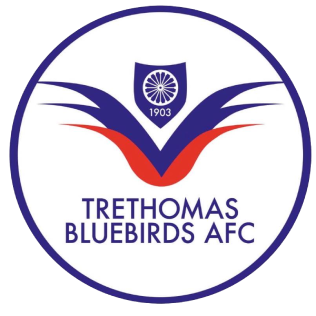 Trethomas Bluebirds AFC