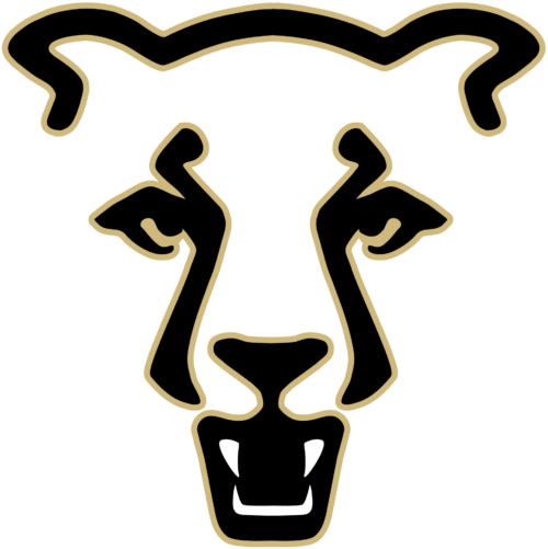 University of Colorado Colorado Springs Men's Soccer (UCCS Mountain Lions)