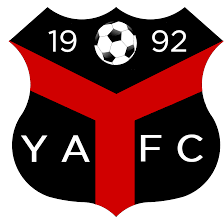 Ynyshir Albions FC